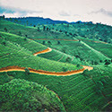 SRILANKA